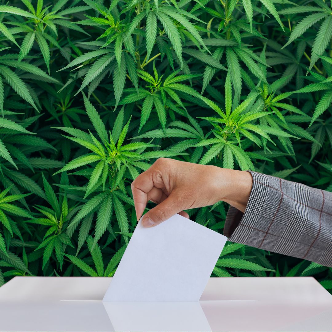 2024 Cannabis Legalization Initiatives: A State-by-State Breakdown