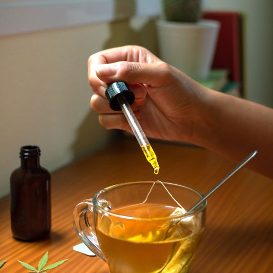 How to Make Cannabis Infusions: A Complete Guide to Cannabis-Infused Oils and Butters
