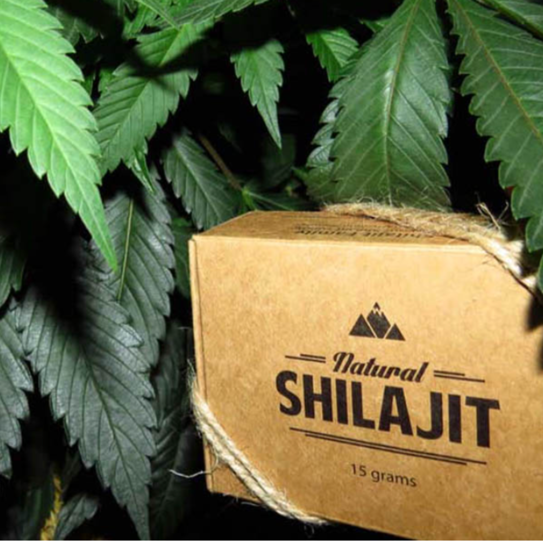 Cultivating a Green Dream: Growing Organic Vegan Weed with Shilajit